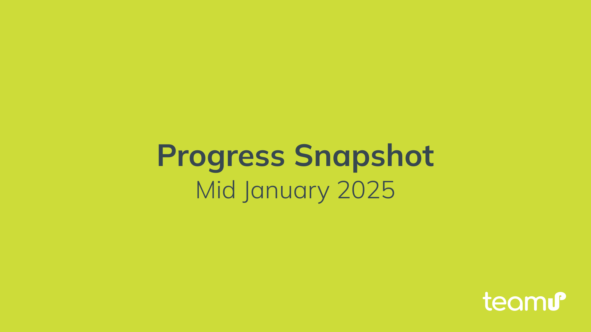 Progress Snapshot: Mid January 2025